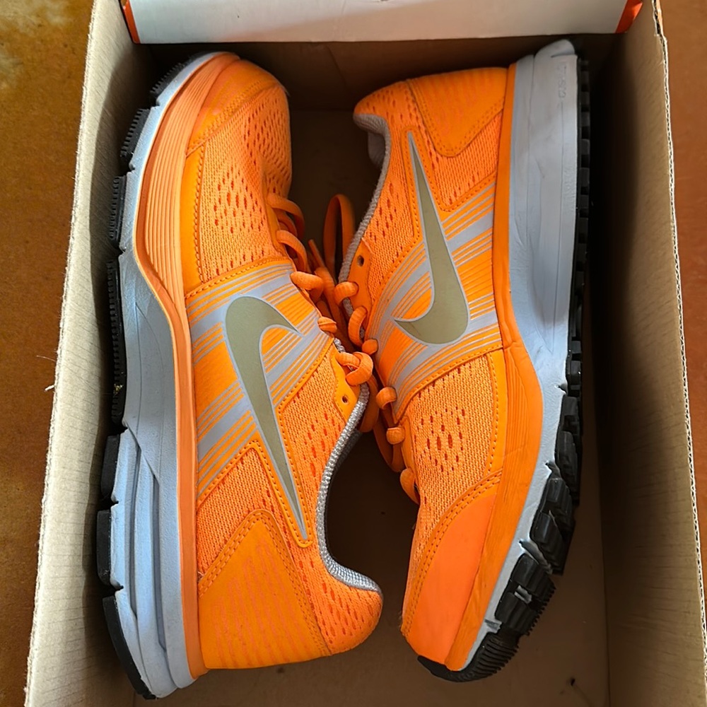 Nike Pegasus 29